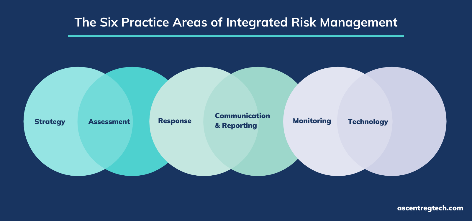 six practice areas of integrated risk management